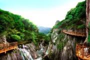 中国森林旅游节开幕 福建两地喜获"国字号"荣誉